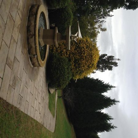 הוילה קוראג'ונג Loxley On Bellbird Hill מראה חיצוני תמונה