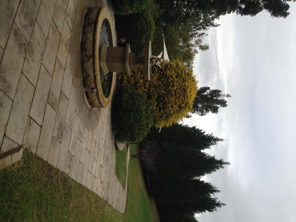הוילה קוראג'ונג Loxley On Bellbird Hill מראה חיצוני תמונה
